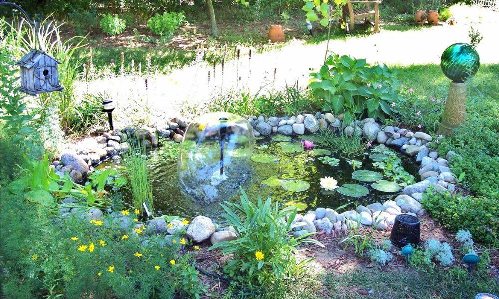 benefits of a backyard pond